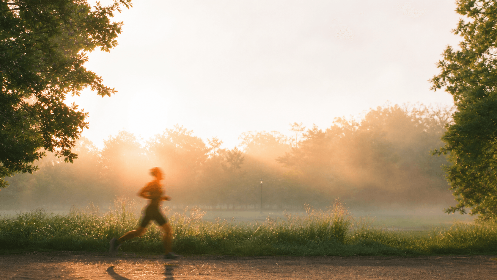 A runner at dawn in a misty, sunlit green park, the quiet athletic energy behind food-positive sports nutrition